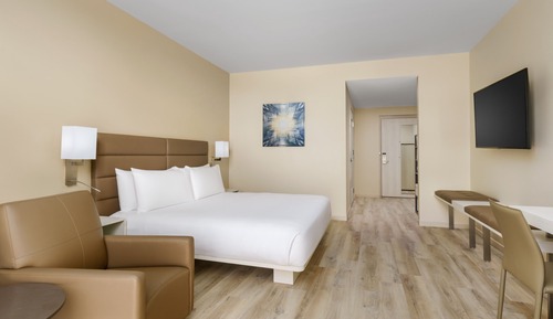Room, 1 King Bed with Sofa bed, Accessible Bathtub