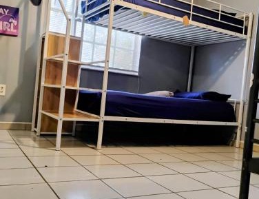 Bunk Bed in Mixed Dormitory Room
