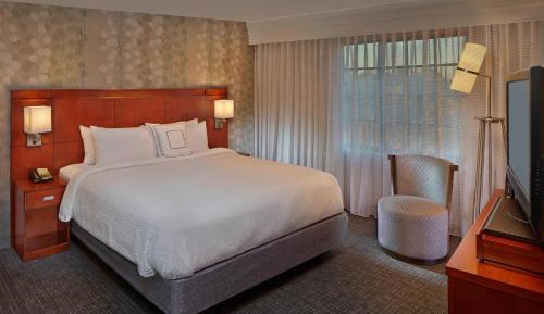 One-Bedroom King Suite with Balcony and Sofa Bed