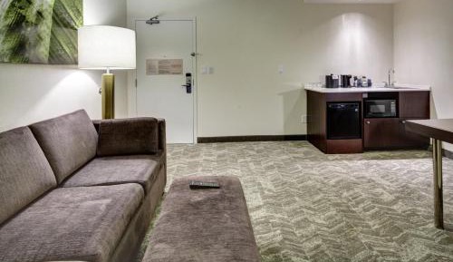 King Suite with Transfer Shower and Trundle Sofa - Mobility Access/Hearing Accessible