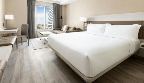 Studio with King Bed and Sofa Bed
