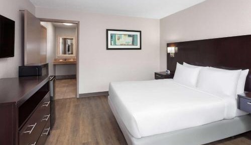 1 Queen Bed, Mobility Accessible Room, Pet-Friendly, Non-Smoking