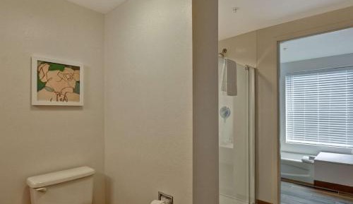 One-Bedroom King Suite with Sofa Bed - Non-Smoking