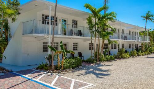 Double King Suites