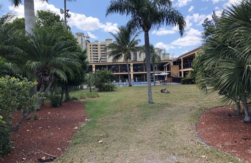 Fort Myers Hotel | Travelodge by Wyndham Fort Myers North
