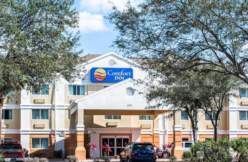 Fort Myers Hotel | Comfort Inn Fort Myers Northeast