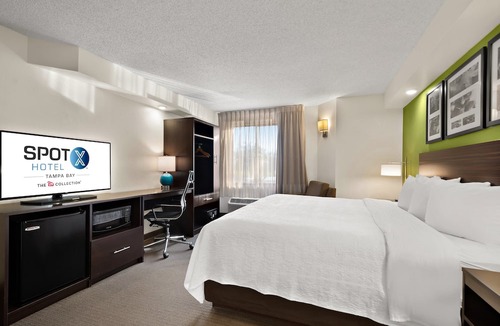 Wesley Chapel Hotel | SPOT X Hotel Tampa - Wesley Chapel by The Red Collection