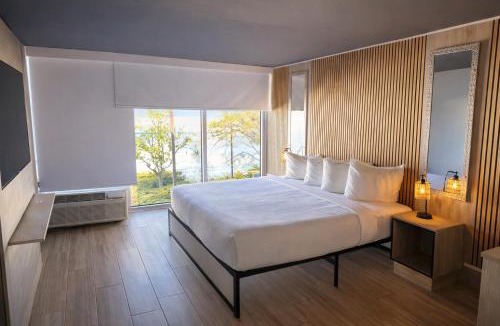 Clearwater Hotel | Tropical Palms Hotel