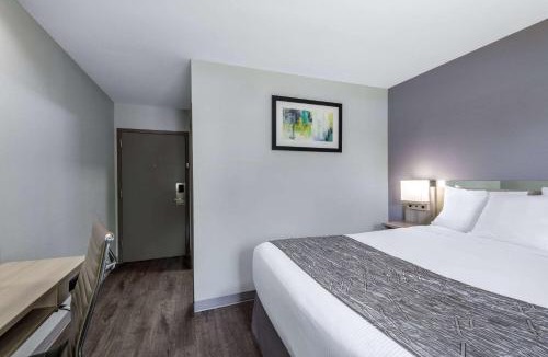 Duncan Hotel | Microtel Inn by Wyndham Spartanburg Duncan