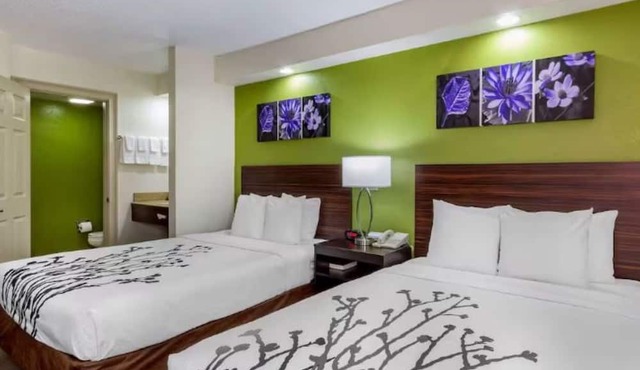 Conveniently Located Modern Rooms – Near Downtown Tampa Hot Spots | 2 Units